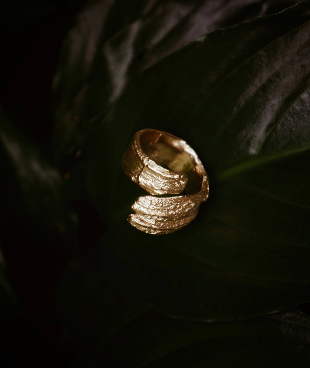 Mulberry's Metamorphasis