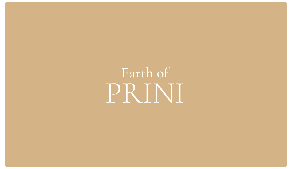 Earth of PRINI Gift Card