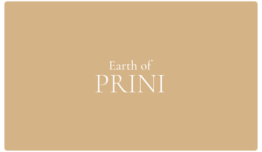 Earth of PRINI Gift Card