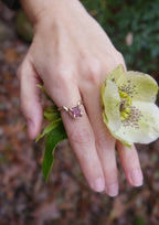 Heart's Content (The Solstice Ring)