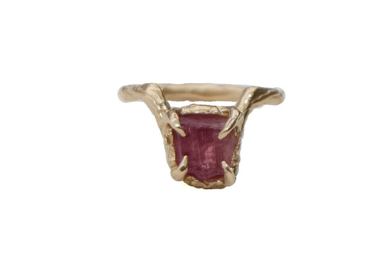 Heart's Content (The Solstice Ring)